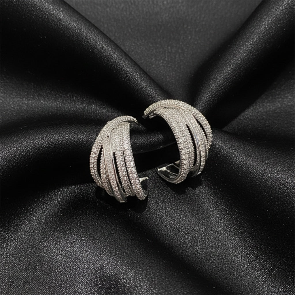 Trendy sparkling earrings