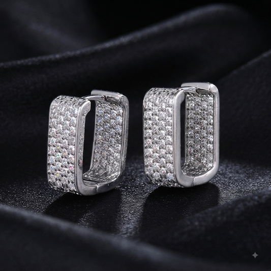 Shiny designed earrings