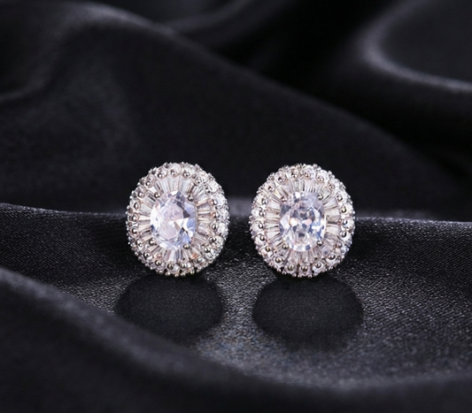 Oval sparkly earrings